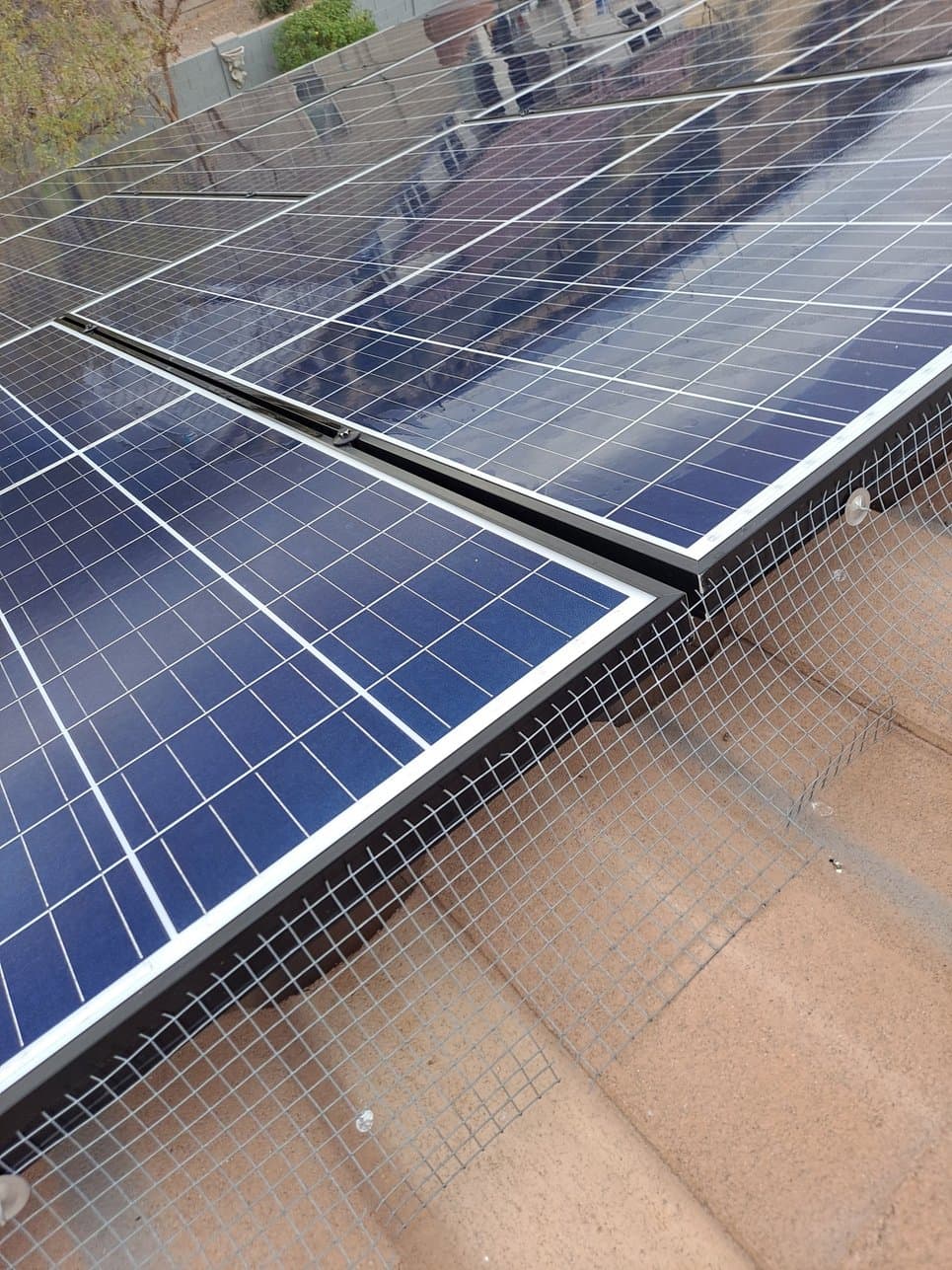 Bird proofing installation process