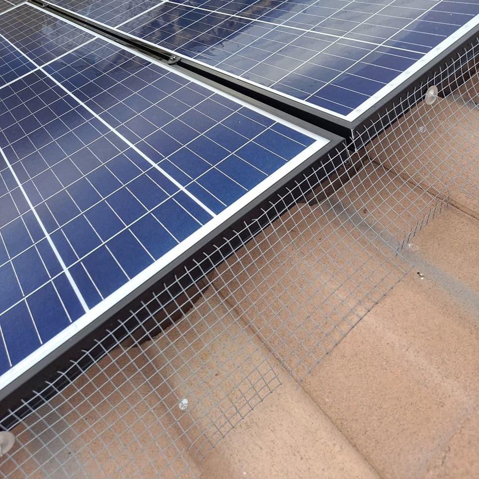 Standard mesh bird proofing